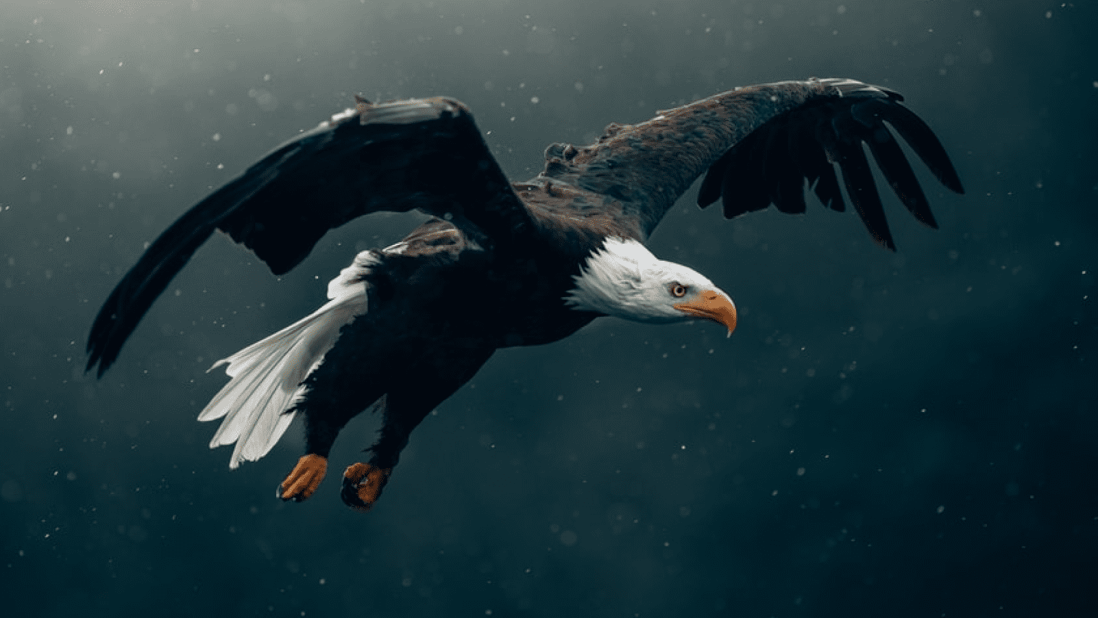 Plataforma E-learning